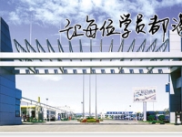 新人学车指南