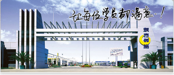 新人学车指南